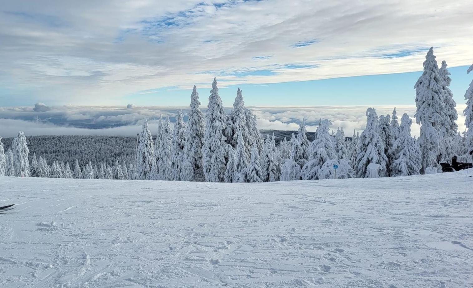 Chata Jeleni Drevenice S Vlastni Virivkou Horni Halze Exterior foto