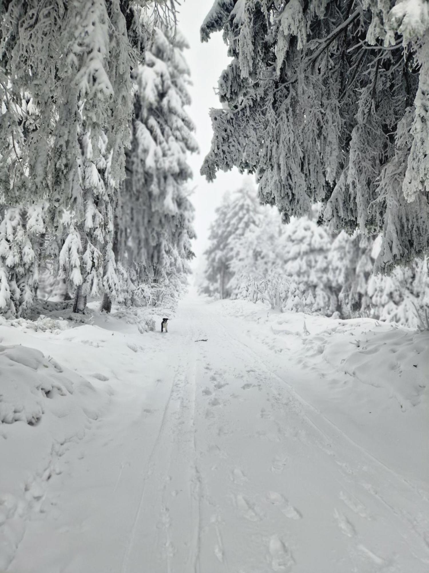 Chata Jeleni Drevenice S Vlastni Virivkou Horni Halze Exterior foto