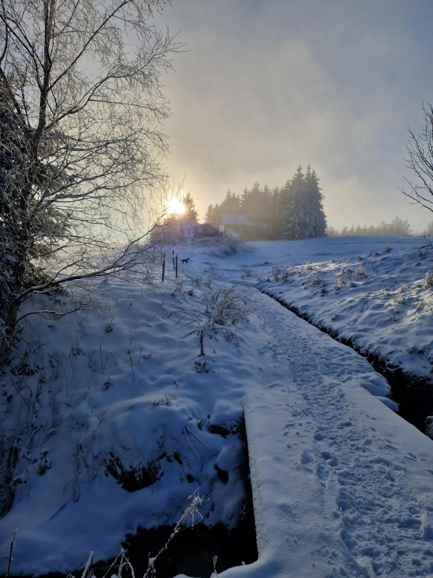 Chata Jeleni Drevenice S Vlastni Virivkou Horni Halze Exterior foto